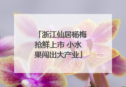 浙江仙居杨梅抢鲜上市 小水果闯出大产业